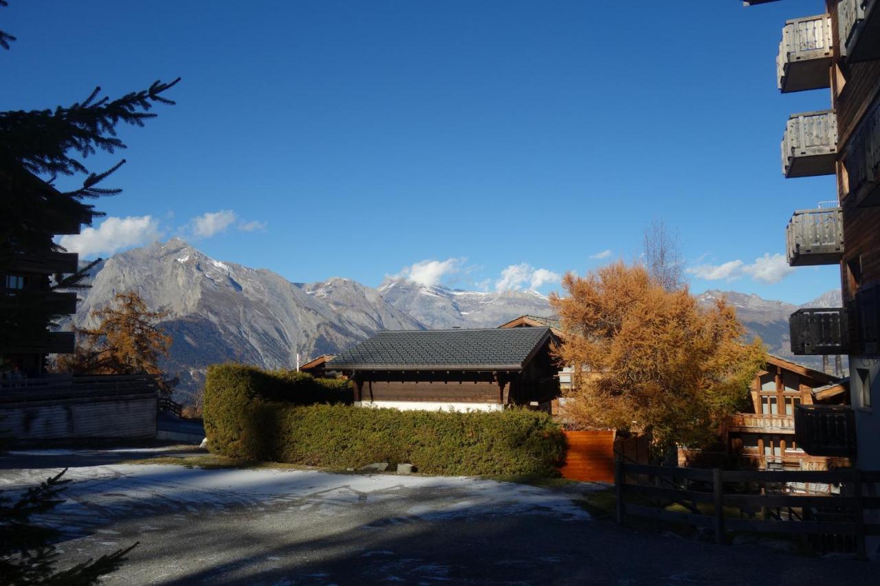 Pracondu Outdoor & Fun Appartement 1 Chambre Avec Balcon By Alpvision Residences Nendaz Exterior foto